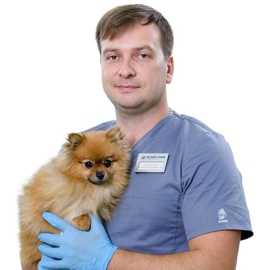 ветеринарный хирург москва. ветеринарный хирург москва. ветеринар на дом. ионов сергей александрович. ветеринарный хирург москва.